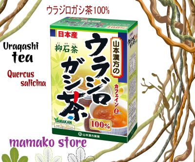Trà túi lọc /Trà Uragashi dược phẩm Yamamoto Kampo 100% 5g X 20H hỗ trợ sỏi mật, sỏi thận ( dạng túi lọc) Hãng Yamamoto Kanpo Pharmaceutical xuất xứ nhật bản date 2025